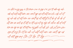 Royal Spark Handwritten Ink Font Product Image 17
