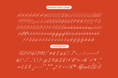 Royal Spark Handwritten Ink Font Product Image 18