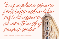 Royal Spark Handwritten Ink Font Product Image 19