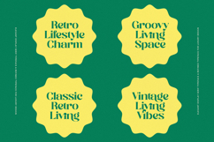 Royale Archive - Elegant Display Serif Product Image 2