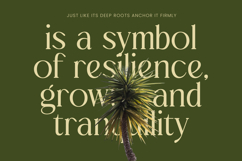 Royale Grosta - Vintage Serif Font Product Image 3