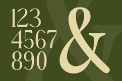Royale Grosta - Vintage Serif Font Product Image 15