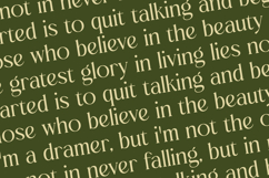 Royale Grosta - Vintage Serif Font Product Image 17