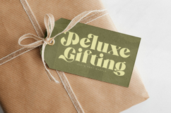 Royale Justify - Modern Alternate Serif Font Product Image 14