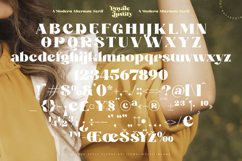 Royale Justify - Modern Alternate Serif Font Product Image 18