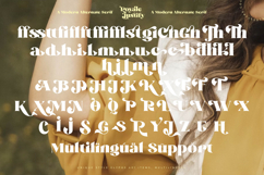 Royale Justify - Modern Alternate Serif Font Product Image 19