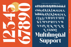 Royale Marigo - Modern Serif Font Product Image 18