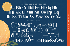 Royale Marigo - Modern Serif Font Product Image 19