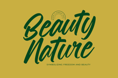Royalett Santhun Bold Handwritten Font Product Image 8