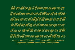 Royalett Santhun Bold Handwritten Font Product Image 9