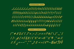 Royalett Santhun Bold Handwritten Font Product Image 13