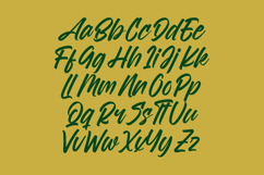 Royalett Santhun Bold Handwritten Font Product Image 14