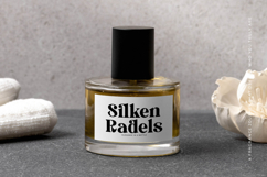 Royals Mugtile - Modern Alternate Serif Font Product Image 6