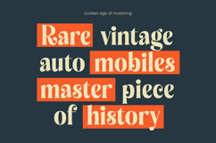 Royalti Cindles - Modern Alternate Font Product Image 4