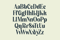 Royalti Cindles - Modern Alternate Font Product Image 9