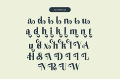 Royalti Cindles - Modern Alternate Font Product Image 13