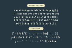 Royalti Cindles - Modern Alternate Font Product Image 14