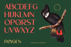 Roygen Elegant Sans Serif Display Product Image 6