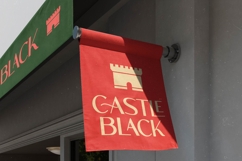 Roygen Elegant Sans Serif Display Product Image 9