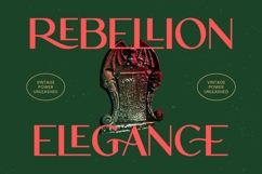 Roygen Elegant Sans Serif Display Product Image 10