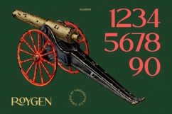 Roygen Elegant Sans Serif Display Product Image 15