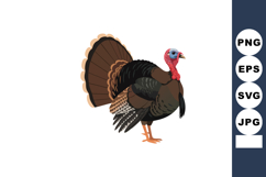 Wild turkey standing with detailed feathers and vibrant colo Product Image 1