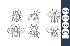 Six different types of detailed black and white insect line Product Image 1