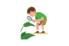 Boy examining green insect on leaf with magnifying glass out Product Image 1
