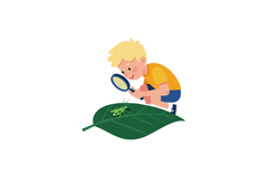 Boy examining green insect on leaf with magnifying glass vec Product Image 1