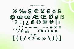 Ruber - Company Sans Font Product Image 8