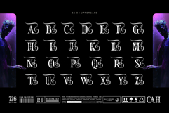 Rune Fate Typeface Product Image 14