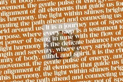 Runlight Harmony - Groovy Serif Display Font Product Image 17