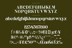 Runlight Harmony - Groovy Serif Display Font Product Image 18