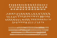 Runlight Harmony - Groovy Serif Display Font Product Image 19