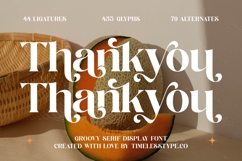 Runlight Harmony - Groovy Serif Display Font Product Image 20