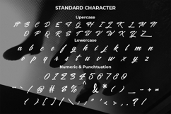 Rushel - Handwritting Brush Script Font Product Image 9