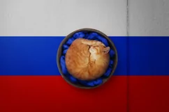 Backgrounds for Photography & Marketing. Russia Product Image 8
