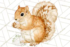 Cottagecore Christmas Clip Art, Cozy Woodland Holiday PNG Product Image 5
