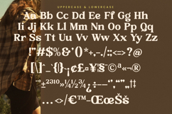 Rustic Cuntry - Modern Vintage Serif Font Product Image 13