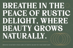 Rustic Delight - Bold Serif Display Font Product Image 6