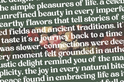 Rustic Delight - Bold Serif Display Font Product Image 13