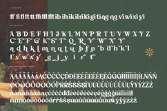 Rustic Delight - Bold Serif Display Font Product Image 19