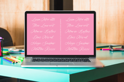 Rustic Diary - Elegant Script Font Product Image 5