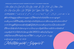 Rustic Diary - Elegant Script Font Product Image 19