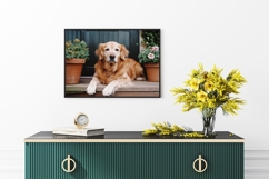 Rustic Farmhouse Wall Art Set