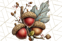 Rustic Woodland Animals Mini World Clipart PNG, Forest Product Image 3