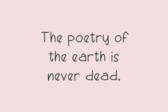 Rustic Ridge Handwriting Font Product Image 9