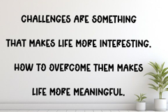 Rustic Product Image 4