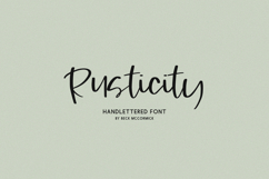 Rusticity Script Font Product Image 1