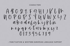 Rusticity Script Font Product Image 10